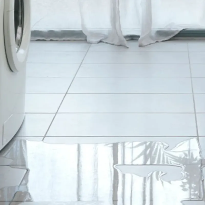 Appliance Leak Cleanup in Anthony, TX