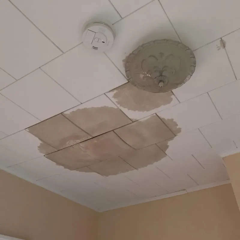 Ceiling Water Damage Repair in Anthony, TX