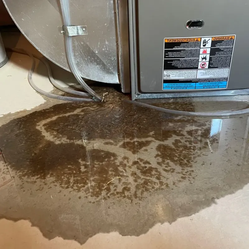 Pipe Burst and Leak Restoration in Anthony, TX