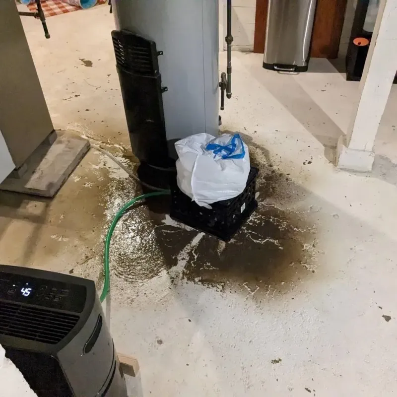 Sewage Backup Cleanup Service in Anthony, TX